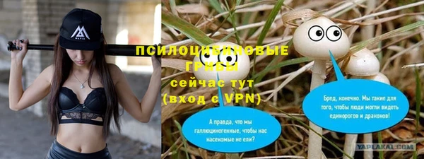 ALPHA-PVP Баксан
