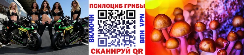 Псилоцибиновые грибы MAGIC MUSHROOMS Афипский